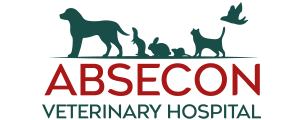 Absecon Veterinary Hospital