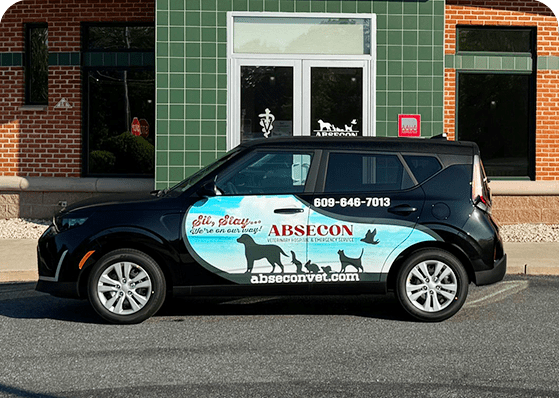 Mobile Vet Services