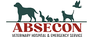 Absecon Veterinary Hospital & Emergency Service