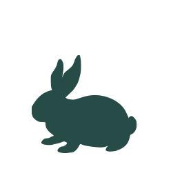 rabbits