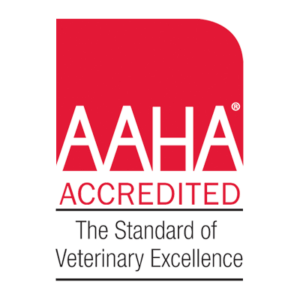 AAHA Accredited Veterinary Hospital in Atlantic County