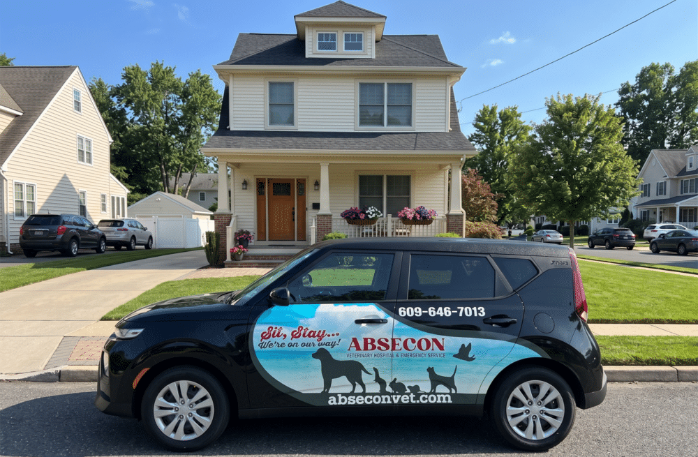 Mobile Veterinary Services