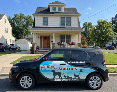 Mobile Veterinary Services