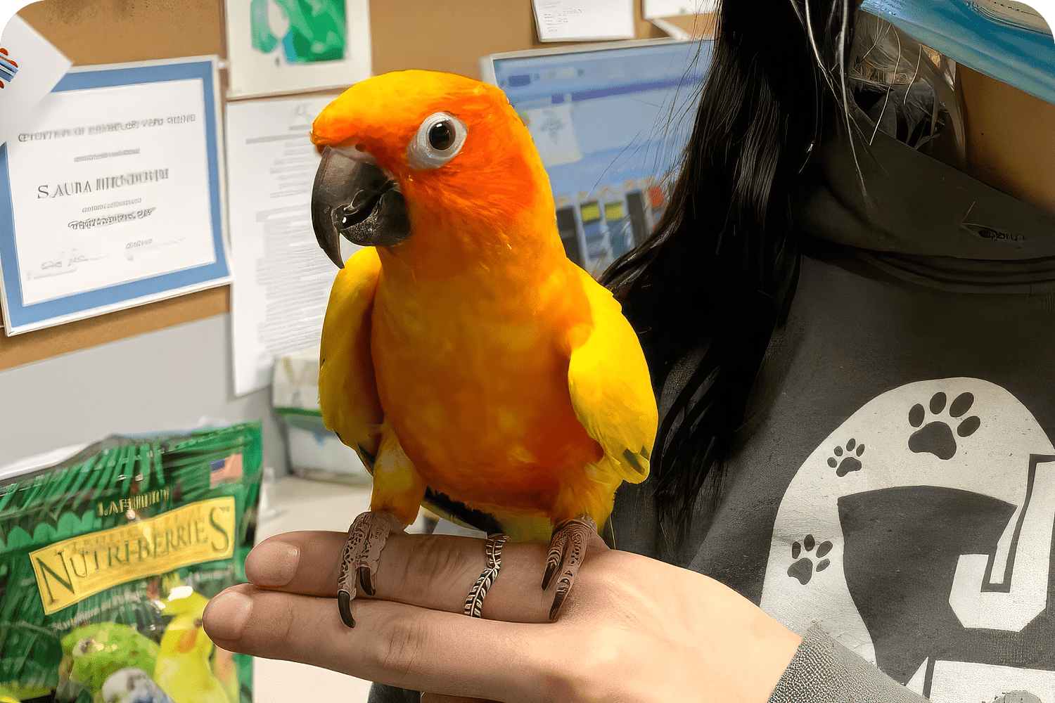 Exotic Pet Veterinary Hospital in Atlantic County