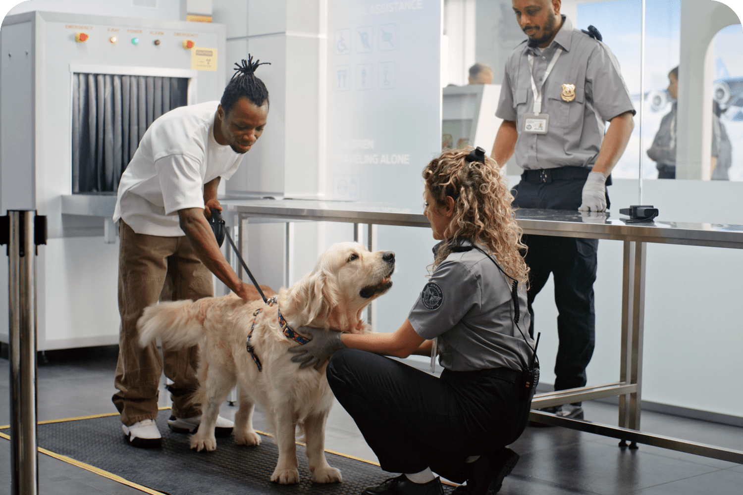 Entry & Returns for Dogs To The USA