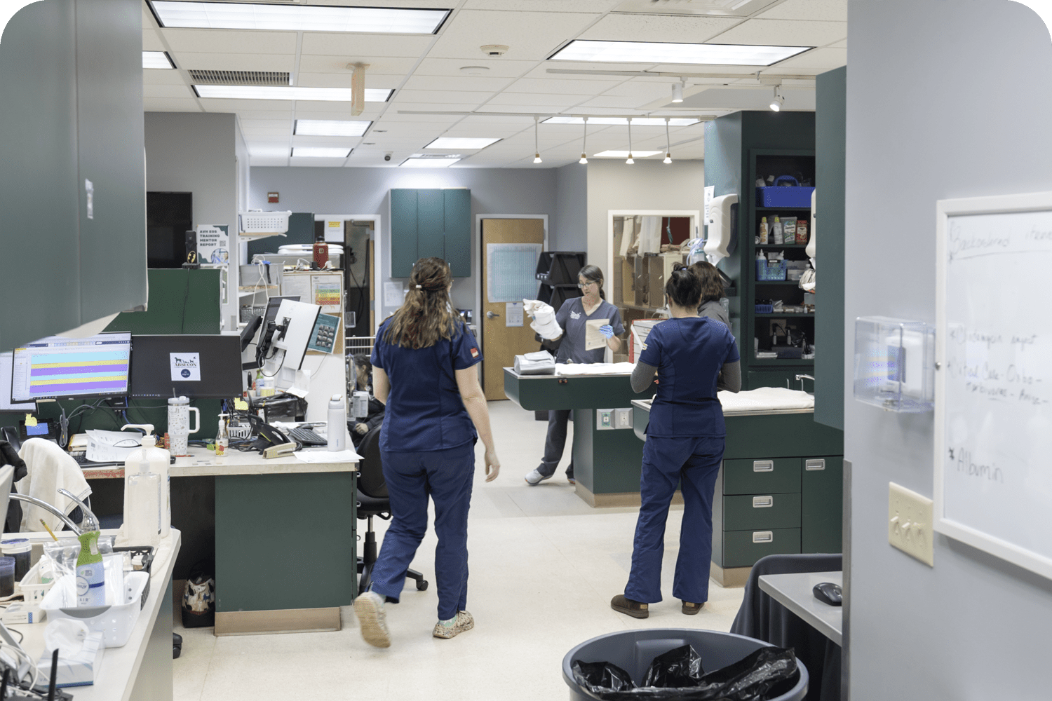 Atlantic County Veterinary Care