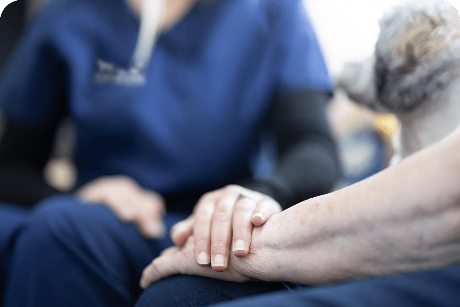 Supportive Pet End of Life Care in Atlantic County