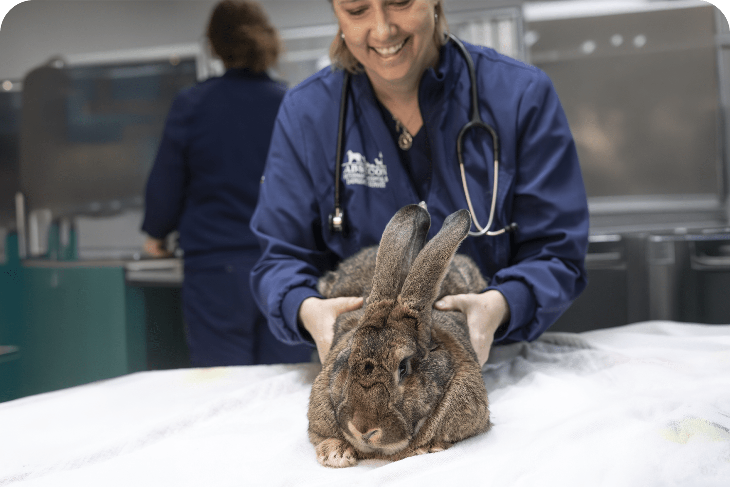 Exotic Pet Care Services in Atlantic County