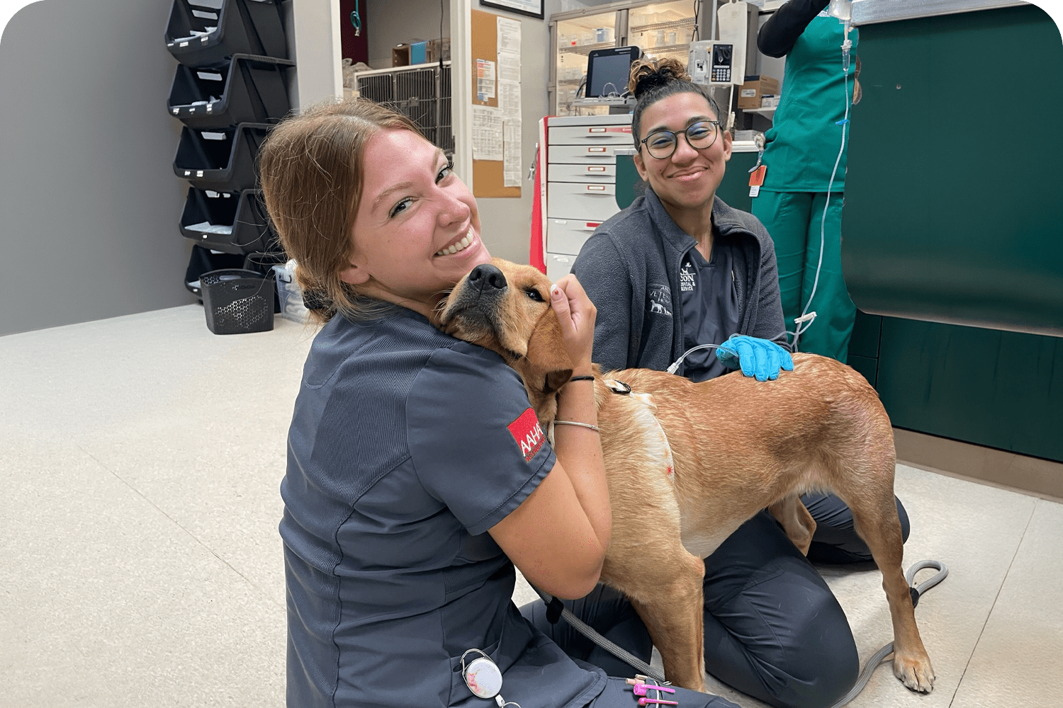 Fear Free Veterinary Hospital in Atlantic County