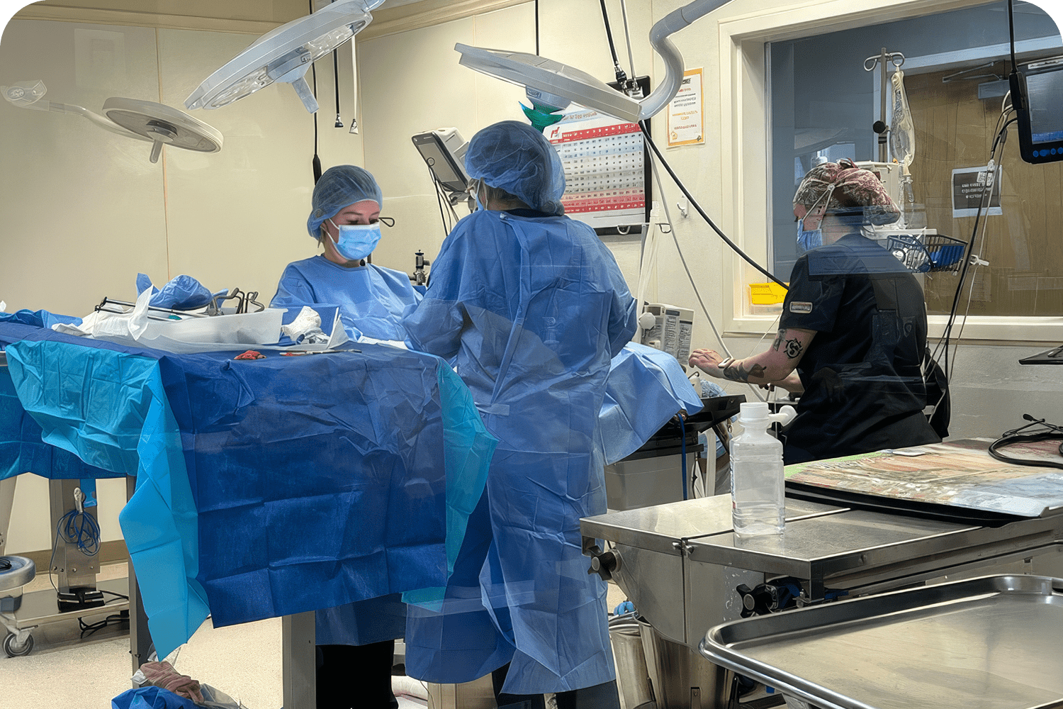 Absecon Veterinary Hospital in Atlantic County