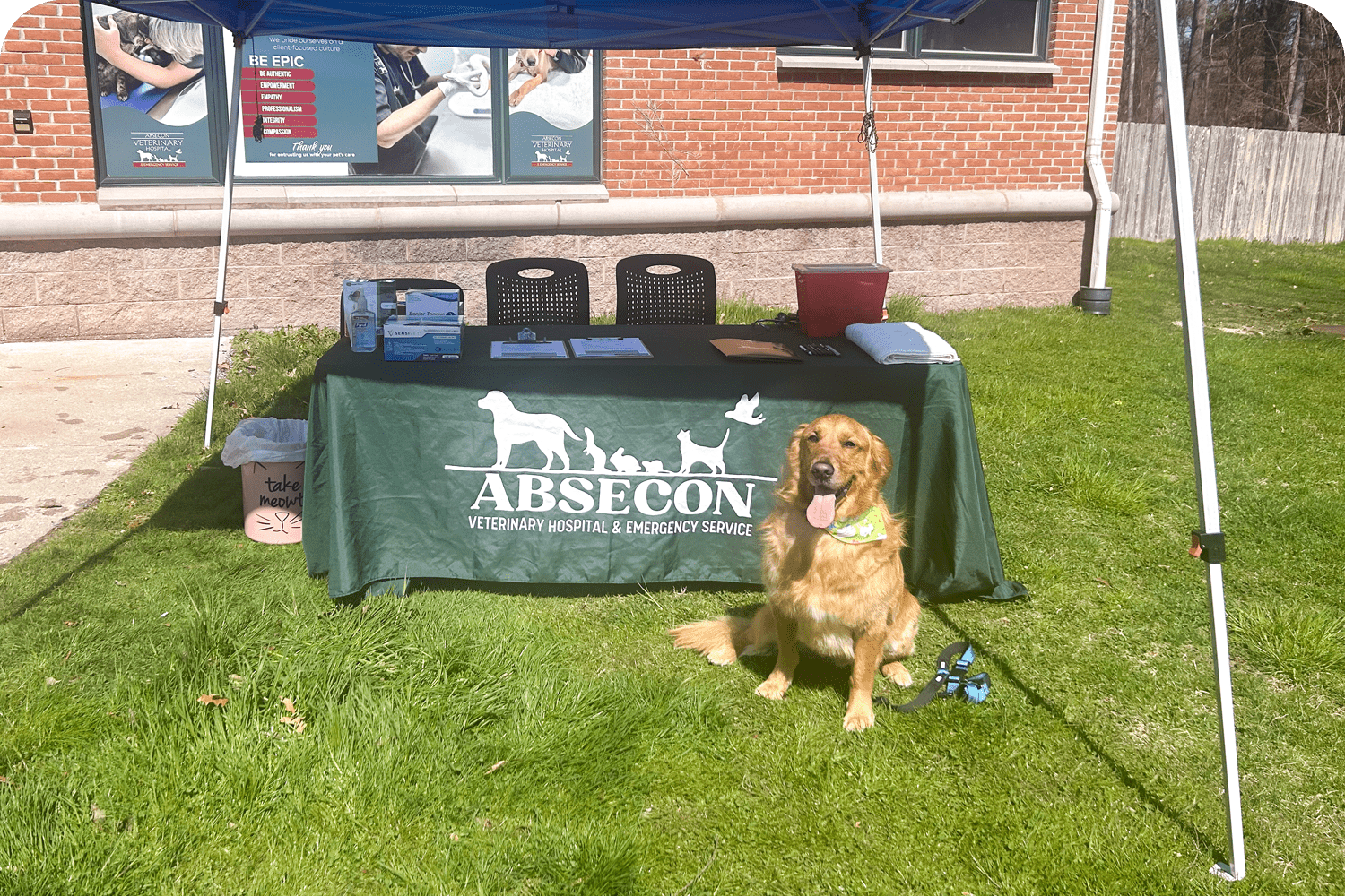 Absecon Veterinary Hospital Outreach in Atlantic County
