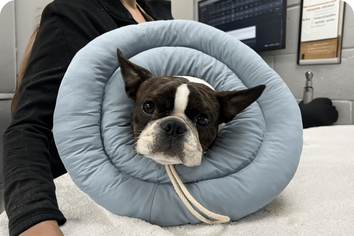 Recovery From Surgery in Atlantic County