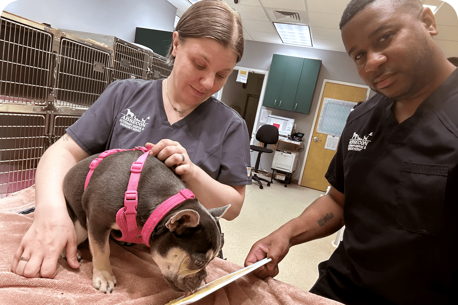 Pet Primary Care Vet in Atlantic County