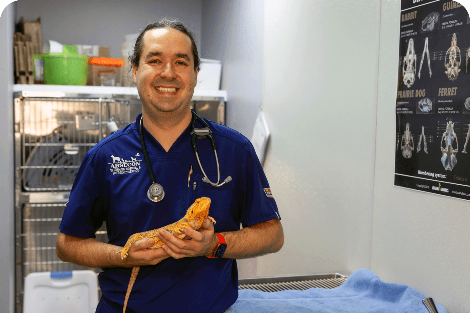 Pet Itchy Skin Care in Atlantic County
