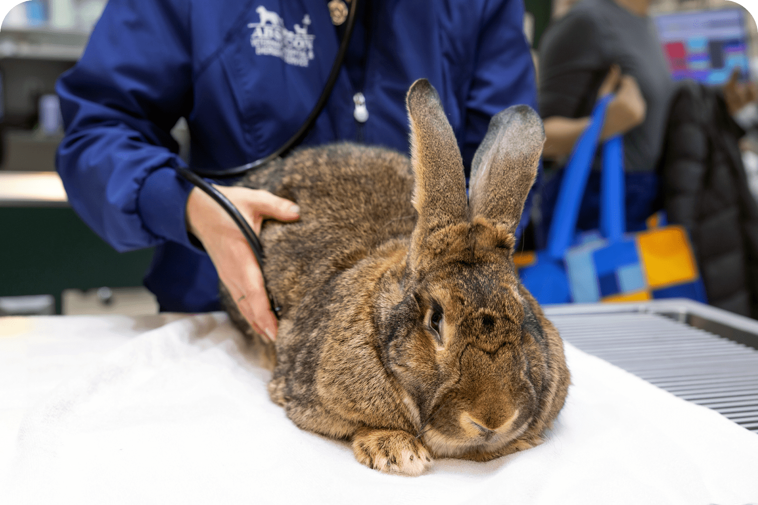 Small Mammal Veterinary Hospital in Atlantic County