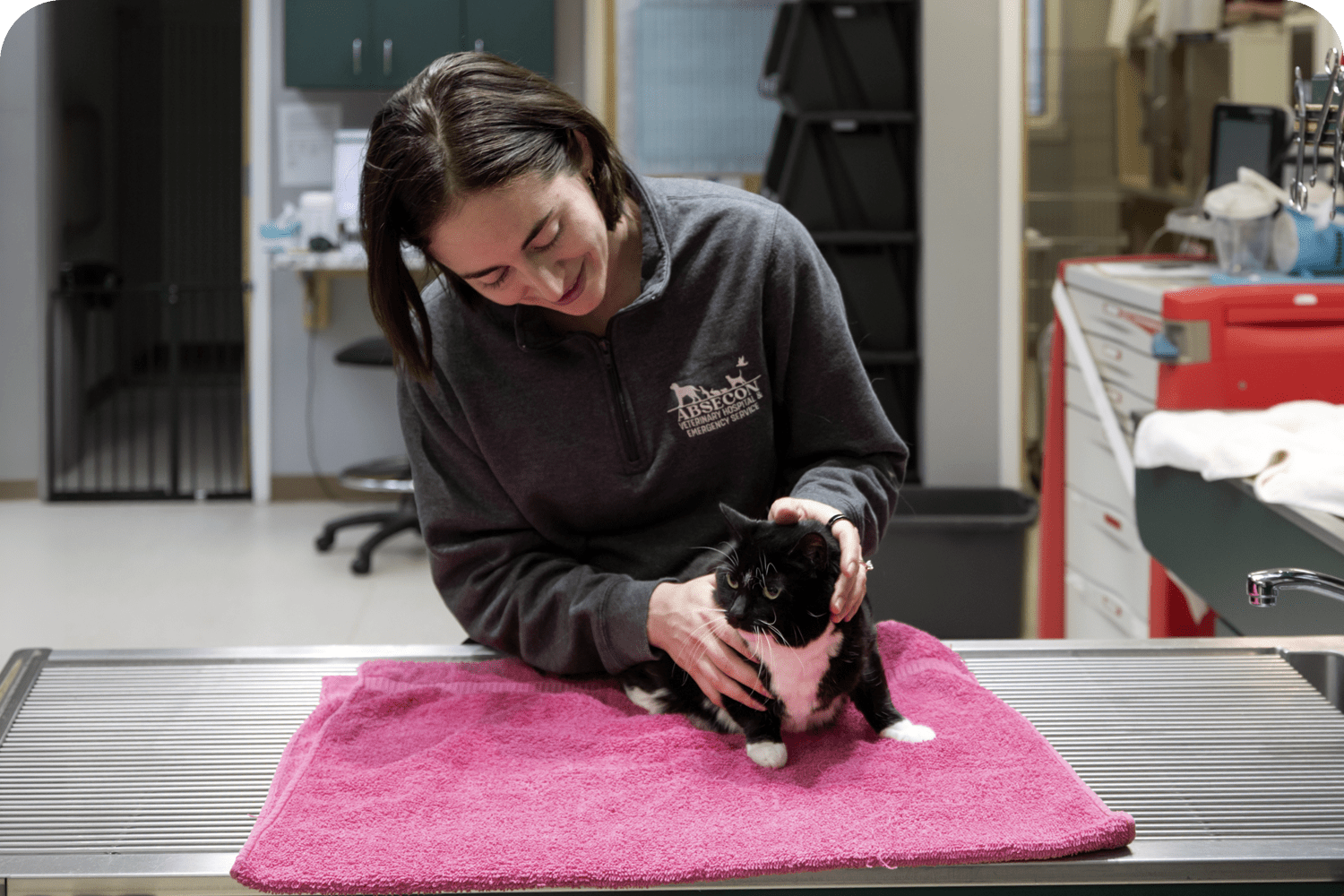Urgent & Emergency Care for Cats in Atlantic County