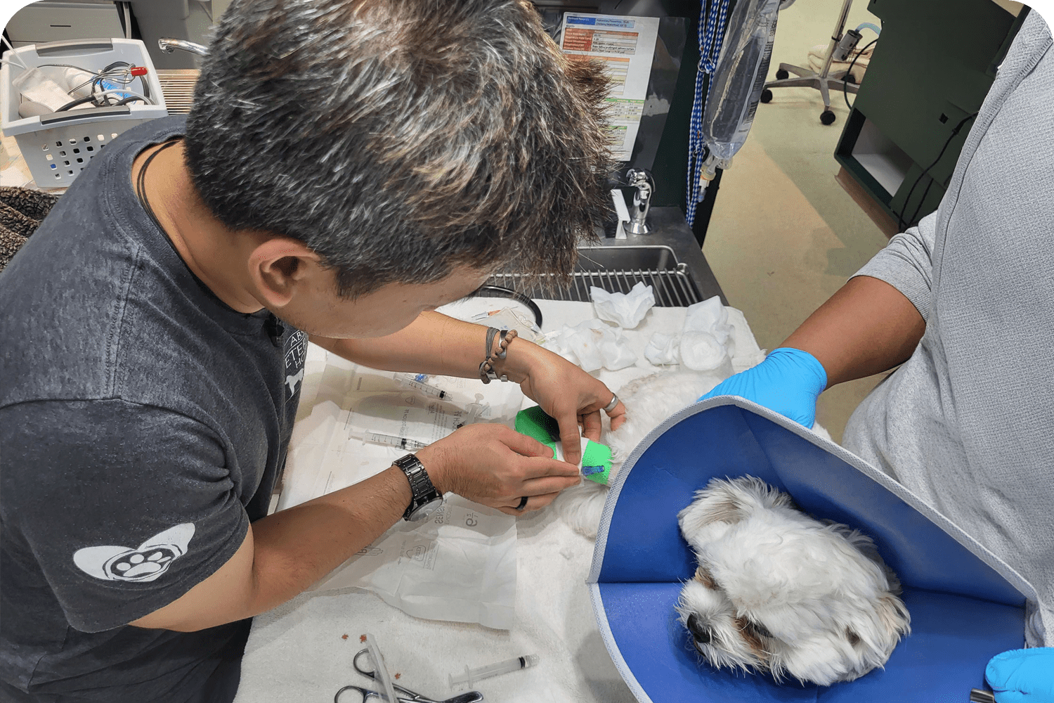 Pet Urgent Care in Atlantic County